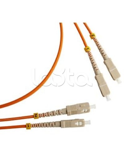 Патч-корд оптический TWT-2SC-2ST/SAU-5.0 в Балашихе Патч-корды оптические Pintop.ru