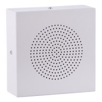 Громкоговоритель настенный вандалозащищенный ROXTON WS-06T