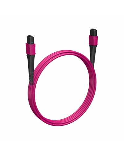 Кабельная сборка MPO(F) -MPO(F)-12 волокон 50/125 OM4, 1 m Cabeus (FOP-50-OM4-12-MPO(f)-12-MPO(f)-B-1m) в Балашихе Кабельные сборки (оптические) Pintop.ru