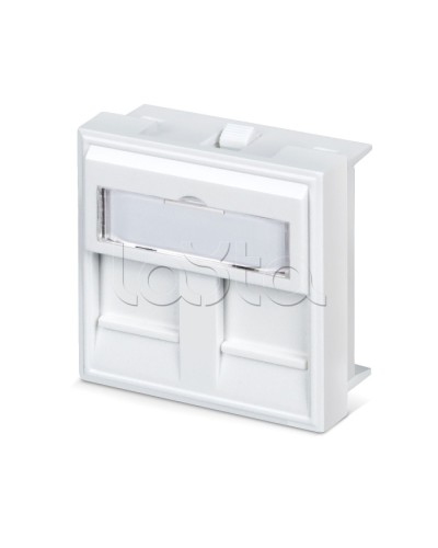 Вставка 45x45 (аналог Mosaic) для 2 модулей формата Keystone Jack Cabeus FP-45-2M в Балашихе Модули Keystone Pintop.ru