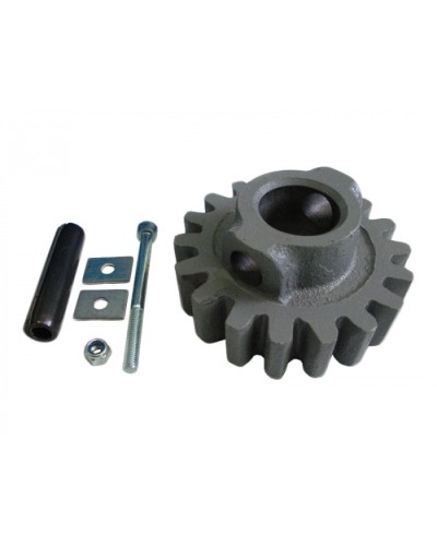Шестерня ведущая ВК Came 119RIBK002 в Балашихе Запчасти для шлагбаумов и автоматики Pintop.ru