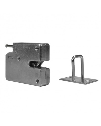 Замок электронный RusGuard CMS в Балашихе Электромагнитные замки Pintop.ru