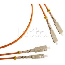 Патч-корд оптический TWT-2ST-2FC/SA-3.0