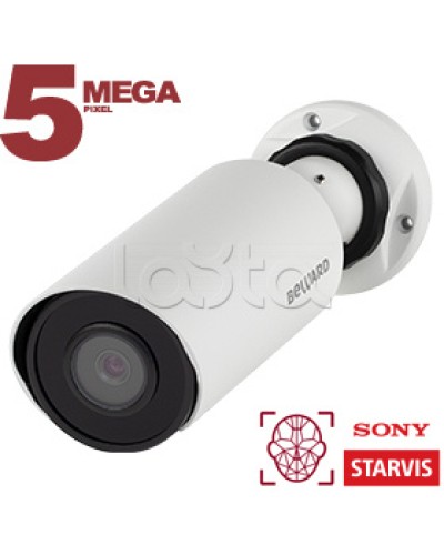 IP-камера видеонаблюдения в стандартном исполнении Beward SV3218R2 2.8 в Балашихе IP-камеры Pintop.ru