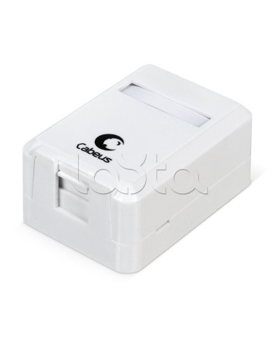 Корпус внешней настенной розетки на 1 Keystone Cabeus MB-1 в Балашихе Дополнительное оборудование для сетей Pintop.ru