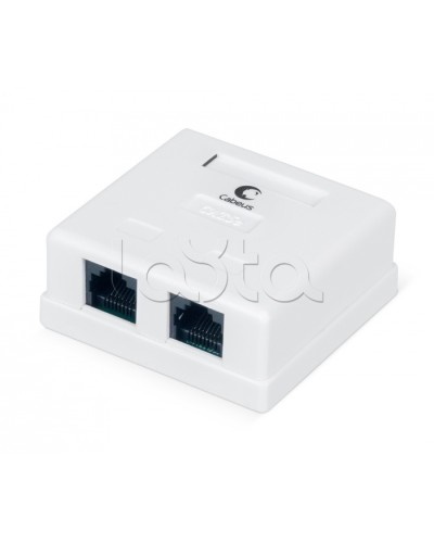 Розетка компьютерная RJ-45, категория 5e, двойная, внешняя, Dual IDC Cabeus WS-8P8C-Cat.5e-2 в Балашихе Розетки компьютерные и телефонные Pintop.ru