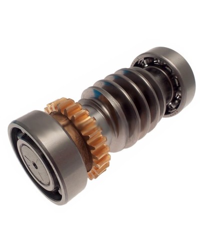 Червяк FROG Came 119RIA016 в Балашихе Запчасти для шлагбаумов и автоматики Pintop.ru