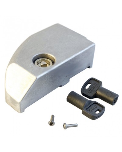 Дверца замка разблокировки BK Came 119RIBK012 в Балашихе Запчасти для шлагбаумов и автоматики Pintop.ru