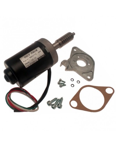 Электродвигатель BX-243 в сборе Came 119RIBX046 в Балашихе Запчасти для шлагбаумов и автоматики Pintop.ru