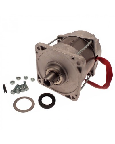 Электродвигатель FERNI Came 119RID087 в Балашихе Запчасти для шлагбаумов и автоматики Pintop.ru