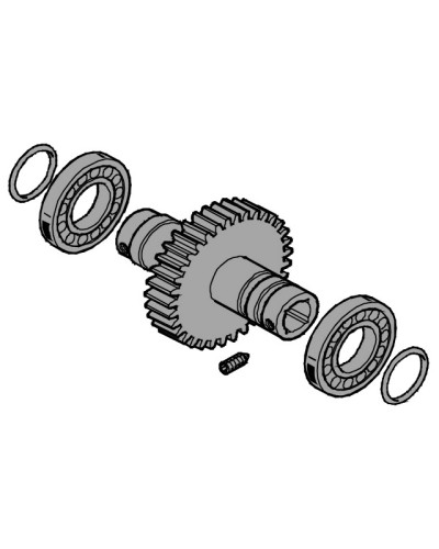 Вал выходной EMEGA Came 119RIE062 в Балашихе Запчасти для шлагбаумов и автоматики Pintop.ru