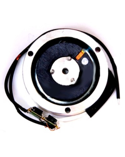 Электромагнит BY1500T Came 119RIY034 в Балашихе Запчасти для шлагбаумов и автоматики Pintop.ru