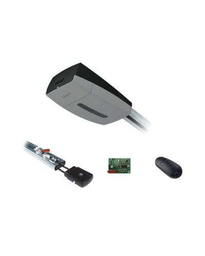 Комплект автоматики для секционных ворот Came V10DMS2.25 KIT (до 2,25 м до 18 м2) в Балашихе Автоматизация ворот Pintop.ru