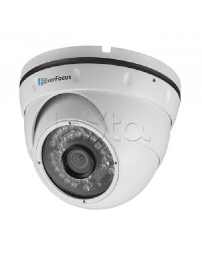 IP-камера видеонаблюдения купольная EverFocus ACE-IAV30 в Балашихе IP-камеры Pintop.ru