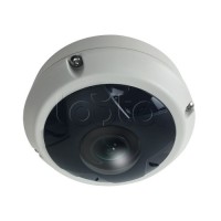 IP-камера видеонаблюдения купольная EverFocus ACE-KU89F