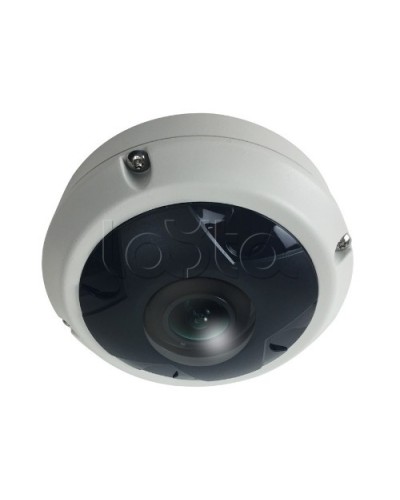 IP-камера видеонаблюдения купольная EverFocus ACE-KU89F в Балашихе IP-камеры Pintop.ru