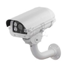 IP-камера видеонаблюдения в стандартном исполнении EverFocus ACE-PAV20F