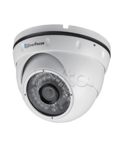 IP-камера видеонаблюдения уличная купольная EverFocus EBN-268 в Балашихе IP-камеры Pintop.ru