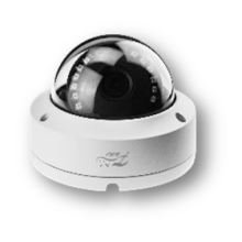 IP-камера в купольном исполненииFox FX-IPC-T20FP-IR H.265 AI