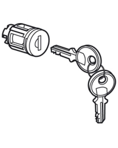 Цилиндр встроенный под ключ №405 Legrand 020291 в Балашихе Дополнительное оборудование для сетей Pintop.ru