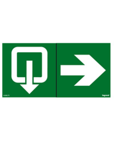 Пиктограмма 100х200 эвакуация стрелка Legrand 661671 в Балашихе Дополнительное оборудование для ОПС Pintop.ru