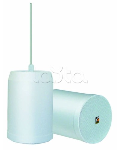 Громкоговоритель встраиваемый ROXTON SP-20T в Балашихе Система оповещения и трансляции Roxton Pintop.ru