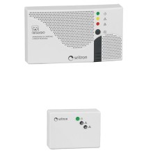 Комплект сигнализаторов на угарный и природный газ Seitron RGDCO0MP1+SGAMET