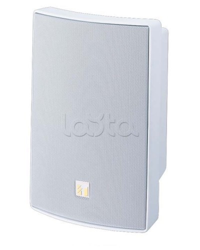 Громкоговоритель универсальный двухполосный TOA BS-1030W в Балашихе Системы оповещения и трансляции TOA Pintop.ru