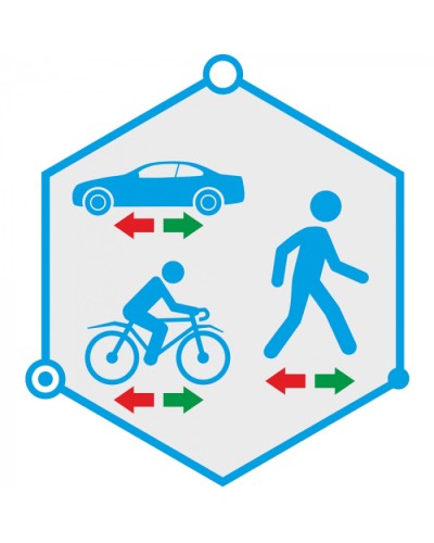 ПО детектор движения в запрещенном направлении TRASSIR Direction Detector в Балашихе Системы видеонаблюдения Pintop.ru