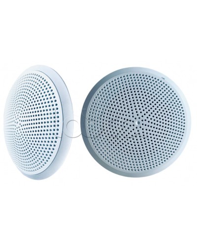 Модуль акустический С-Т-100 1/3 исп.2 (ИП Раченков А.В.) в Балашихе Оповещатели Pintop.ru