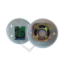 Оповещатель пожарный речевой Магнито-контакт «ЛИГАРД-Раскат»