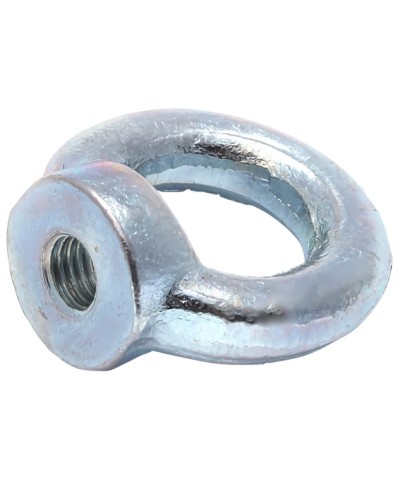 Рым-гайка М10 DIN 582 (50 шт/уп) Промрукав (PR08.3905) в Балашихе Крепеж Pintop.ru