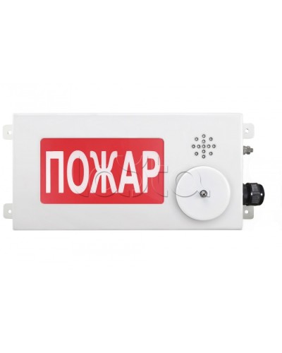 Табло светозвуковое взрывозащищенное Спектрон ТСЗВ-Exi-М-Прометей-МИНИ 12-36В в Балашихе Оповещатели Ex Pintop.ru