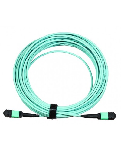 Сборка кабельная LANMASTER (LAN-12M-12M/OM3B-5.0) в Балашихе Коннекторы Pintop.ru